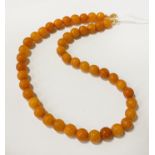 BUTTERSCOTCH AMBER NECKLACE WITH 14CT PLATED CLASP