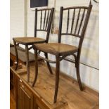 PAIR OF BENTWOOD CHAIRS WITH CANE SEATS