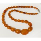 BUTTERSCOTCH AMBER BEADED NECKLACE 78.7 GRAMS APPROX