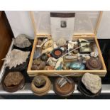 DISPLAY CASE OF CURIOSITIES/NATURAL HISTORY ITEMS. AMMONITE, TRILOBITE & BELEMNITE FOSSILS, CHURCH