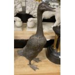 LOADED BRONZE GOOSE 52CM (H) APPROX