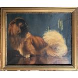 Attributed to Gabriel Blair (1862-1932). British. Oil on canvas. “Portrait Of A Pekingese Named Siou