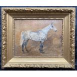 J BEATRICE THOMSON EQUINE STUDY