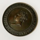 1886 LIVERPOOL BRONZE MEDAL