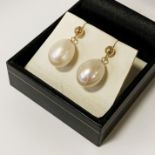 9CT GOLD LARGE SOUTH SEA PEARL DROP STUDS