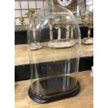 DOMED GLASS DISPLAY CASE