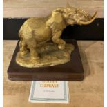 24K GOLD PLATED ELEPHANT BRONZE BY ANTHONY JONES