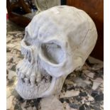 LARGE SKULL