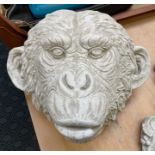 CHIMP PLAQUE