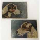 2 OILS ON CANVAS - DOG STUDIES 25CMS X 18CMS