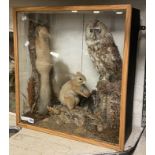 VINTAGE TAXIDERMY OWL & SQUIRRELS - CASED