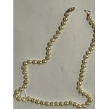 PEARL NECKLACE WITH 14CT CLASP