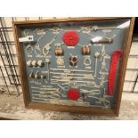 CASED NAUTICAL KNOT COLLAGE