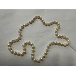 PEARL NECKLACE WITH 14CT CLASP