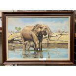 DAVID. J PERKINS ELEPHANT STUDY, OIL ON CANVAS, SIGNED - 65 X 45 CMS