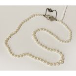 PEARL NECKLACE WITH 18CT GOLD CLASP