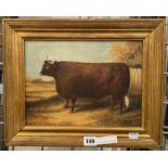 NAIVE PICTURE OF COW BY J WHITMORE (INDISTINCTLY SIGNED) - 29 X 20 CMS