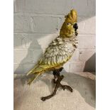 COLD PAINTED BRONZE PARAKEET