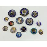 SELECTION OF FOURTEEN VARIOUS ENAMELED COINS SOME EARLY AND SOME MADE AS BROOCHES