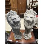 PAIR OF GROWLING LIONS