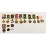 A collection of 11 gilt metal and enamel RAOB lodge jewels, three tokens and a ring