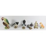 Six Beswick ceramic birds to include, Song thrush (2308) 14cm, Pigeon (1383B) 15cm, Magpie (2305)