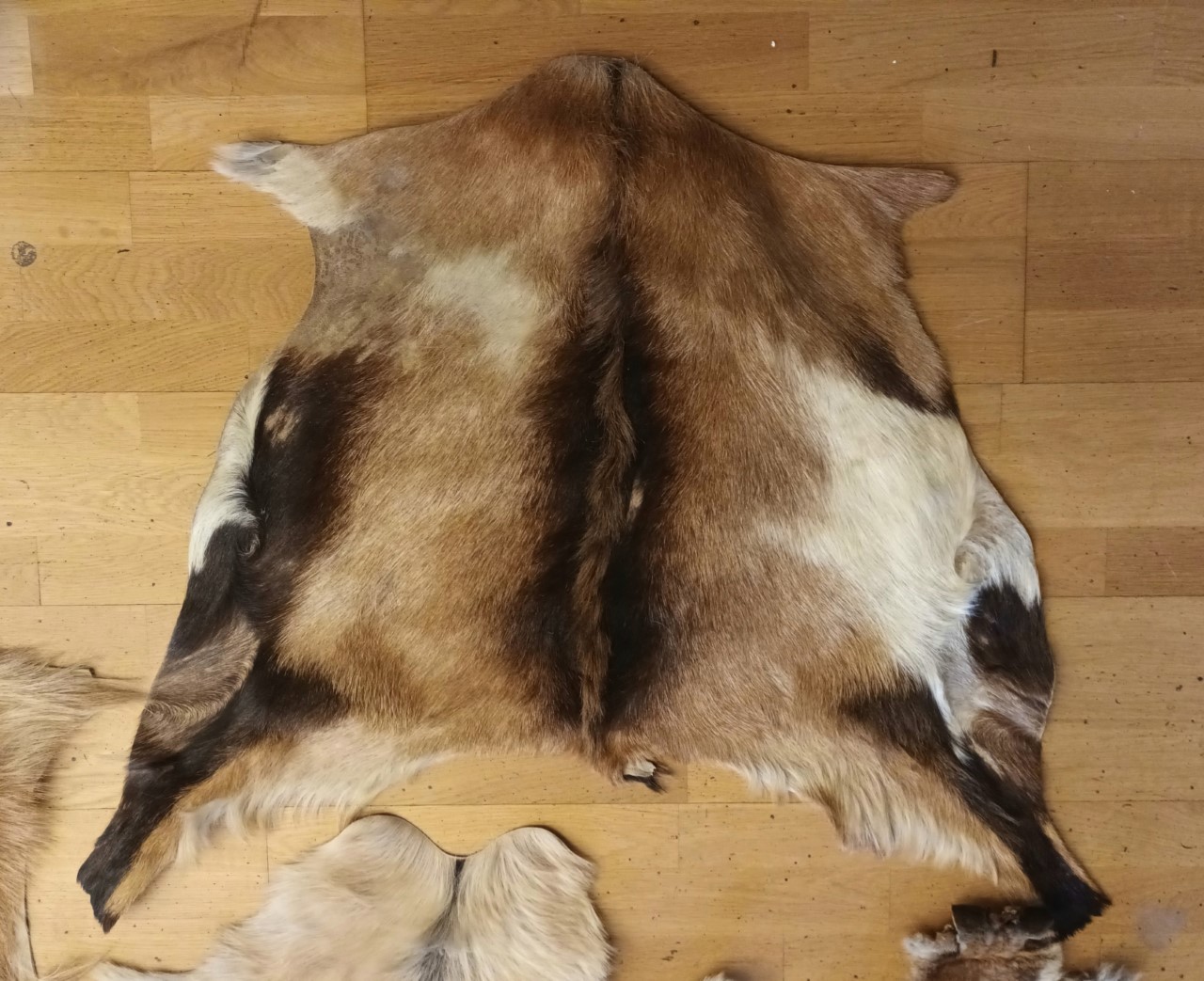 A collection of four animal furs/skins, to include three goat and one kangaroo, largest 110cm x 70cm - Image 2 of 5