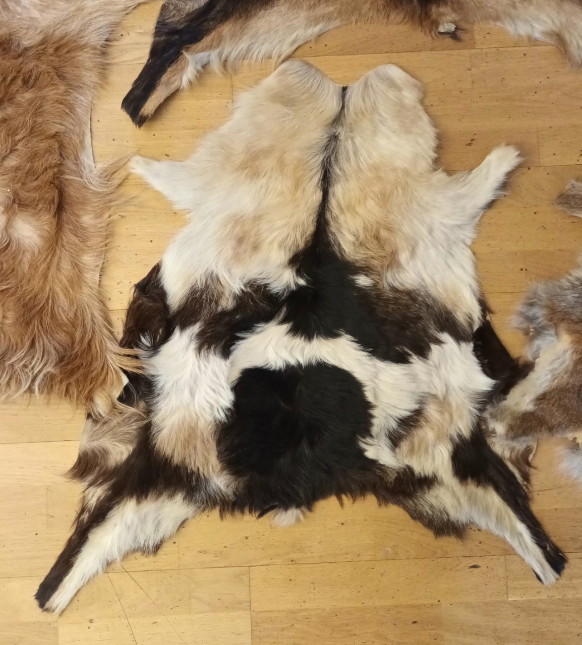 A collection of four animal furs/skins, to include three goat and one kangaroo, largest 110cm x 70cm - Image 5 of 5