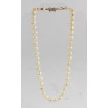 A uniform cultured pearl necklace, 6mm beads, 38cm, 9ct gold clasp.