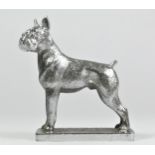 A chrome car mascot in the form of Boxer Dog, not mounted, 11cm.