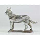 A chrome car mascot in the form of an Alsatian, by L Lejeune, not mounted, 10cm.