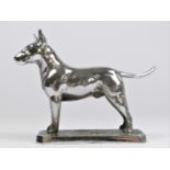 A chrome car mascot in the form of Staffordshire Bull Terrier, unmounted, 10cm.