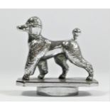 A chrome car mascot in the form of Poodle, unmounted, stamped Desmo, 7cm.