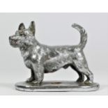 A chrome car mascot in the form of Terrier, unmounted, stamped Chromettic, 8cm.