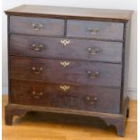 A 19th century oak chest of two short over three long drawers, brass drop handles, raised on ogee