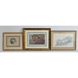 Robert. E Fuller; signed print of a otter, ltd edition 54/850, signed lower right, 34x22cm, framed &