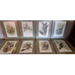 Basil Ede (1931-2016), Fine Art Guild set of eight limited edition prints of birds, signed in