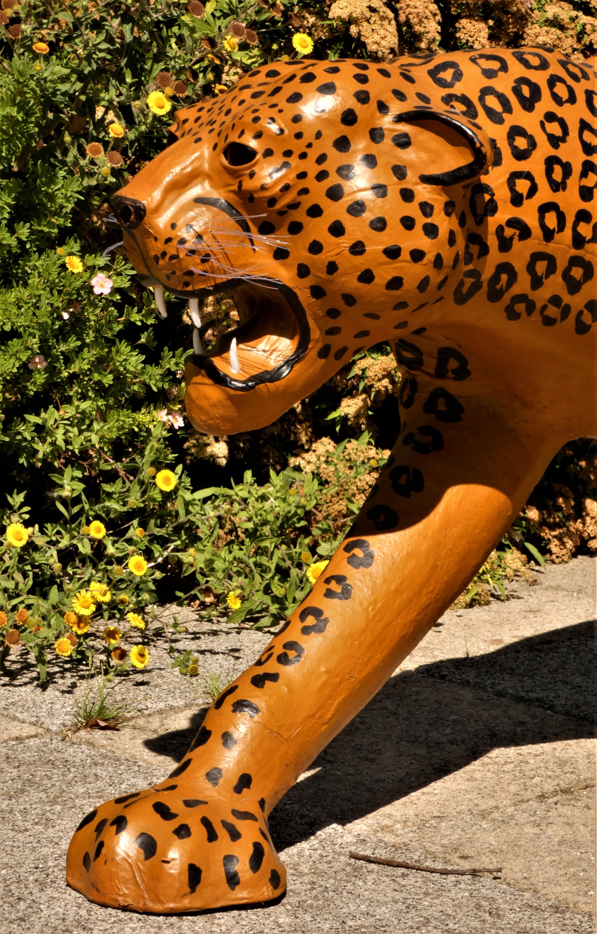 A paper mache sculpture, in the form of a leopard, plastic teeth and whiskers, 100cm x 70cm x 30cm - Image 2 of 6