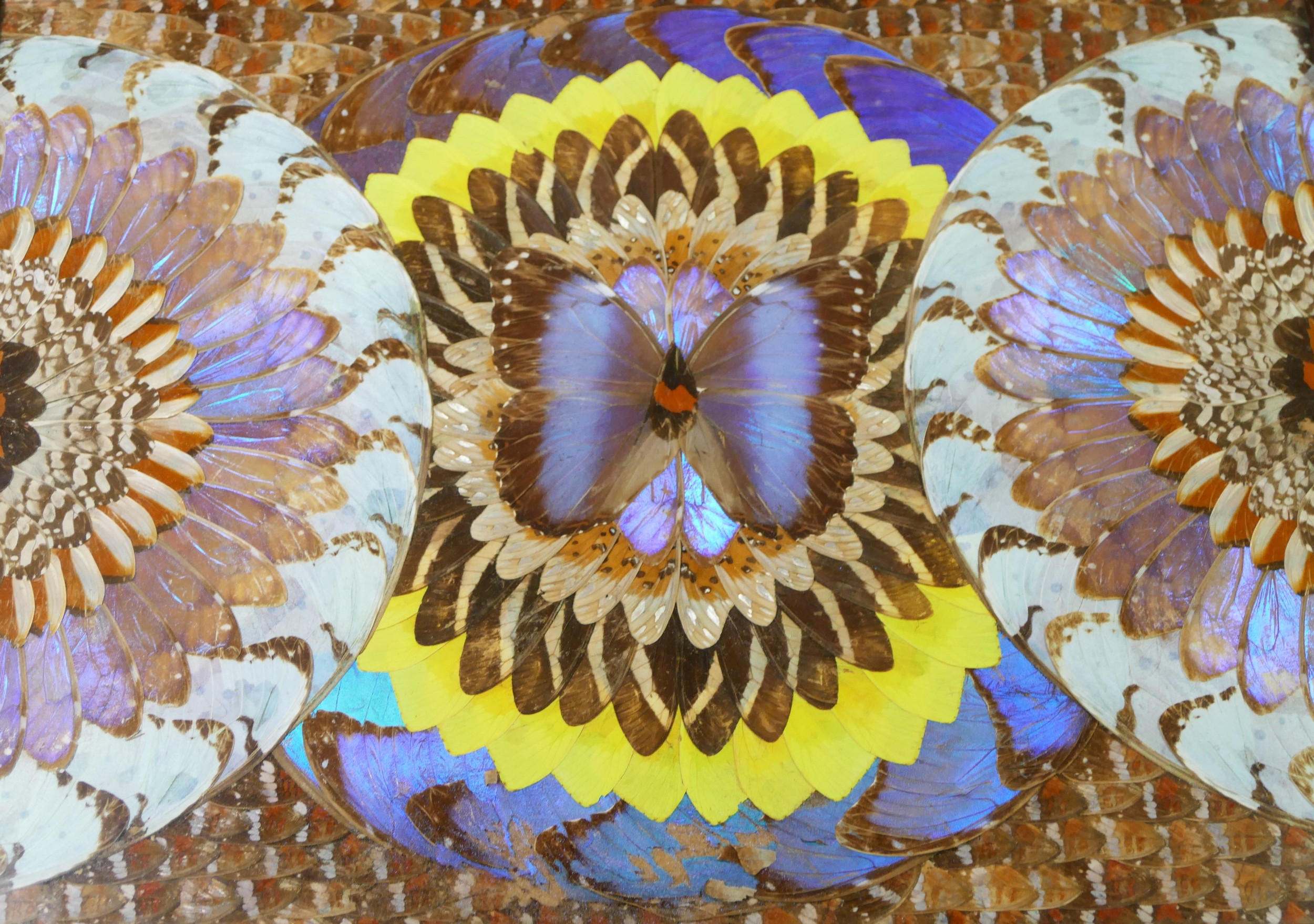 Three Brazilian butterfly trays, with boxwood geometric inlay decoration, 51.5cm x 33.5cm x 2cm - Image 3 of 4