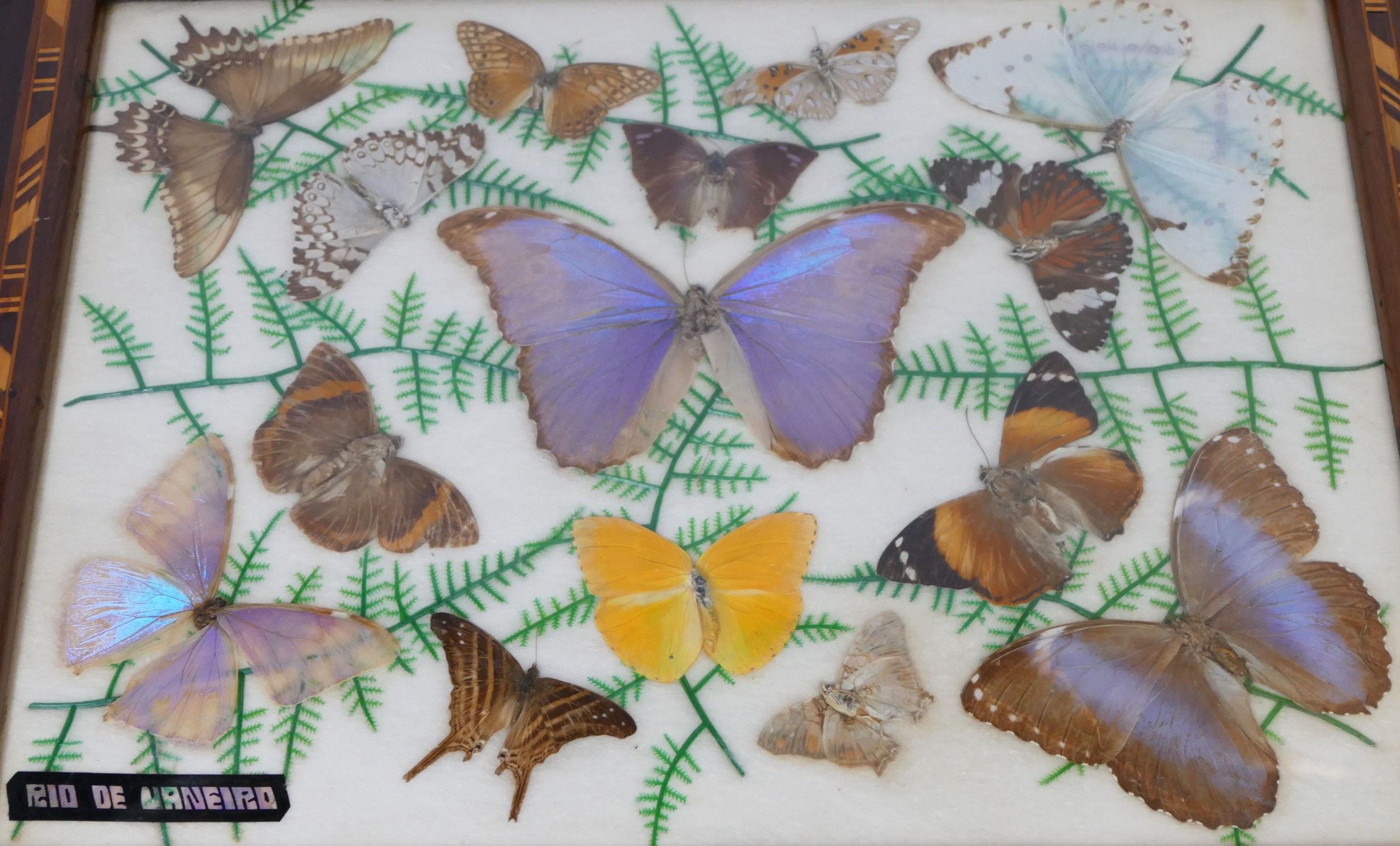 Three Brazilian butterfly trays, with boxwood geometric inlay decoration, 51.5cm x 33.5cm x 2cm - Image 4 of 4