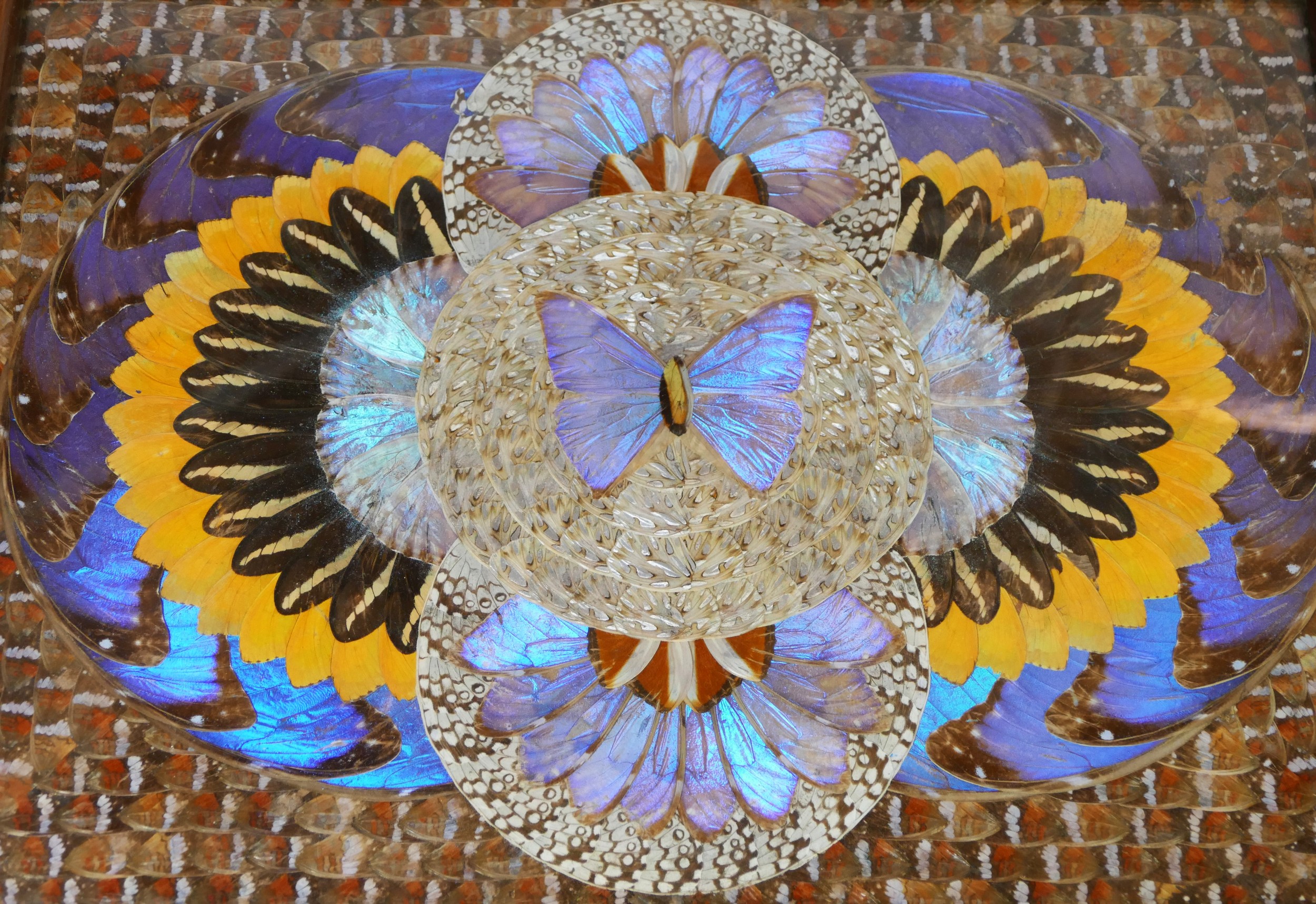 Three Brazilian butterfly trays, with boxwood geometric inlay decoration, 51.5cm x 33.5cm x 2cm - Image 2 of 4