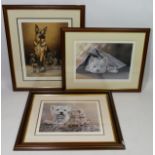 A set of four Ltd edition signed prints depicting dogs,together with a pair of Reint Withaar