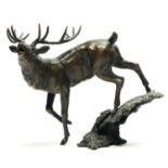 A limited edition bronze study of a leaping Highland stag , applied makers mark M?, 45/100, 14cm