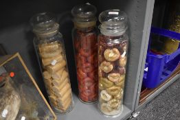 Three Victorian shop displays for Blackpool rock in long glass jars