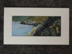 A mixed media painting, Fiona Clucas, Seabirds Sandness, signed and dated 2011, 13 x 31cm, plus