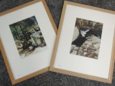 A pair of acrylic paintings, Ian Gardiner, rocks and streams, signed, each 22 x 16cm, plus frame and