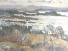 A mixed media painting, Fiona Clucas, Southerly View Camusatal, signed and attributed verso, 28 x