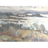 A mixed media painting, Fiona Clucas, Southerly View Camusatal, signed and attributed verso, 28 x