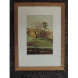 An acrylic painting, Ian Gardiner, Trees in Dentdale. 22 x 15cm, plus frame and glazed