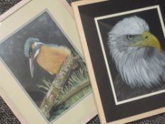 A pastel sketch, Vivienne Wood, Kingfisher, signed and dated 2014, 28 x 19cm, and a pastel sketch,